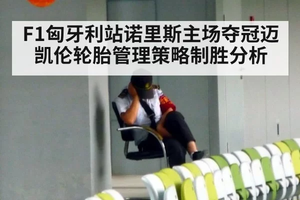 F1匈牙利站诺里斯主场夺冠迈凯伦轮胎管理策略制胜分析