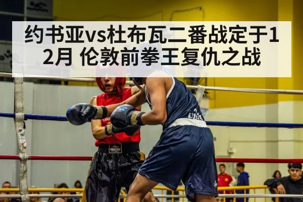 约书亚vs杜布瓦二番战定于12月 伦敦前拳王复仇之战